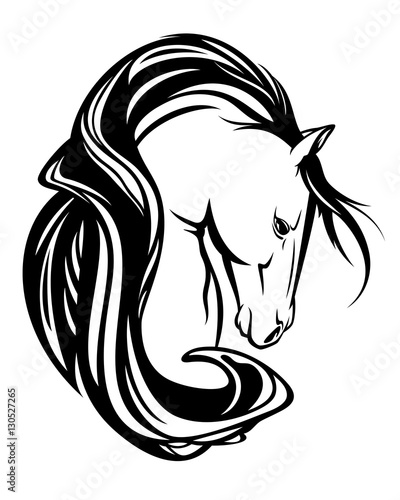 Obraz na płótnie horse head with long mane black and white vector design
