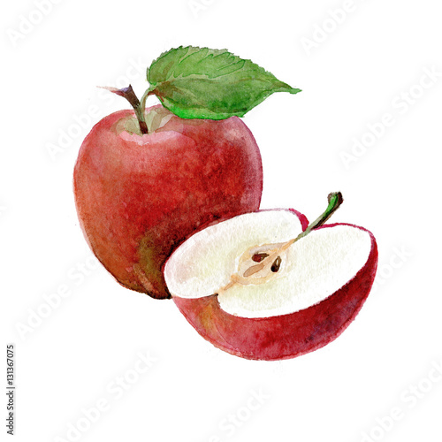 Watercolor Apples on a white background. Sliced fruit.  Peeled half apple.  Red apple illustration. 