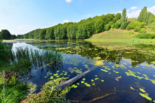 Obraz na płótnie view of the lake's shore in Masuria District, Poland