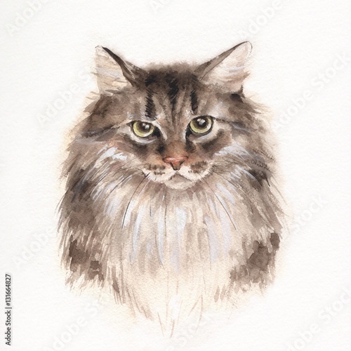 powazny-kot-ilustracja-akwarela-fluffy-kitty