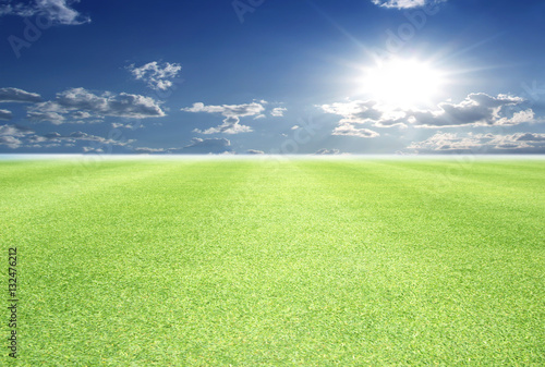 Image of green grass field and bright blue sky