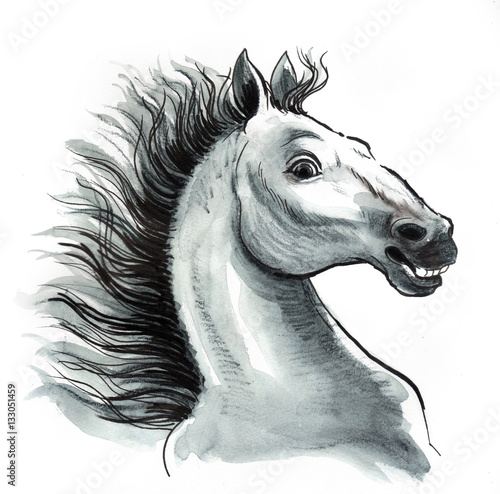 White horse