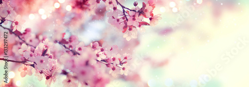 Spring border or background art with pink blossom. Beautiful nature scene with blooming tree and sun flare