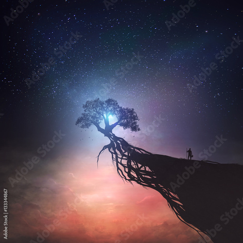 Tree and night sky