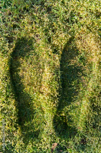 Footprints on frozen winter lawn in cold weather