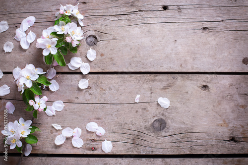 Tender spring apple tree flowers on aged vintage wooden backgrou