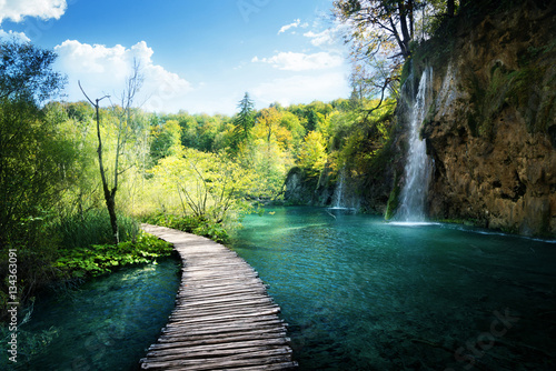 Fototapeta Waterfall in forest, Plitvice, Croatia