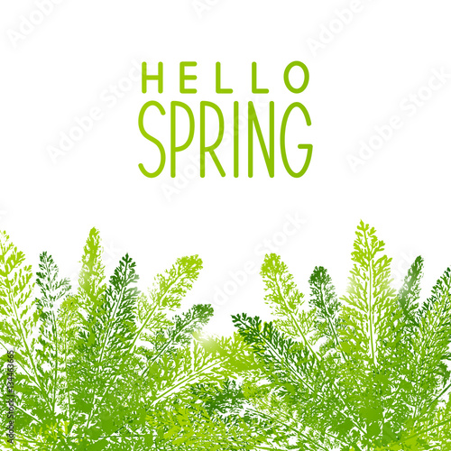 Spring background with green leaves 