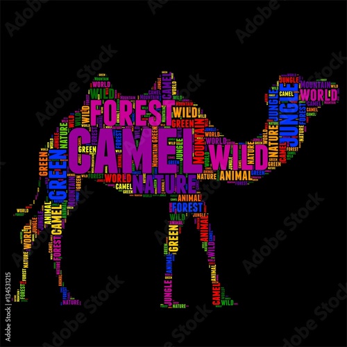 camel Typography word cloud colorful Vector illustration