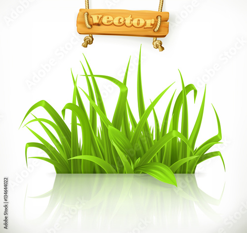 Spring grass, 3d vector icon