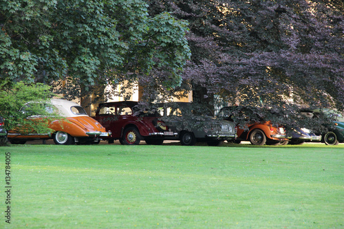 Oldtimer unter Bäumen im Park