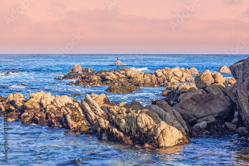 Scenic California Coast Landscape
