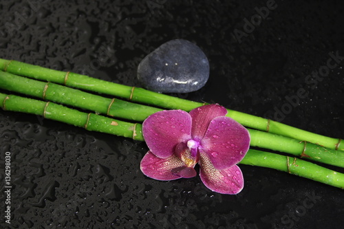 Lacobel Bamboo and Orchid