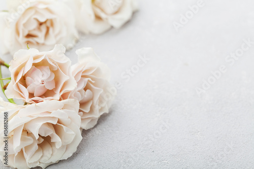 Beautiful vintage rose flowers on gray stone table. Floral border. Pastel color.
