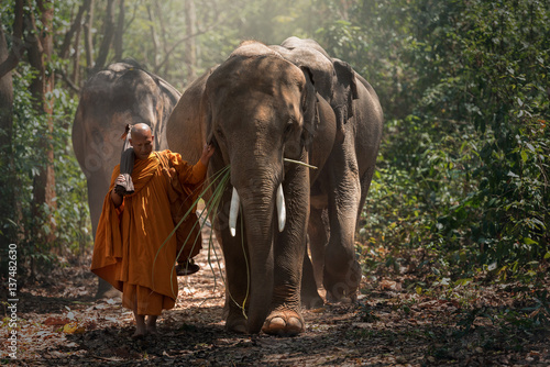 Obraz na płótnie Monks elephant