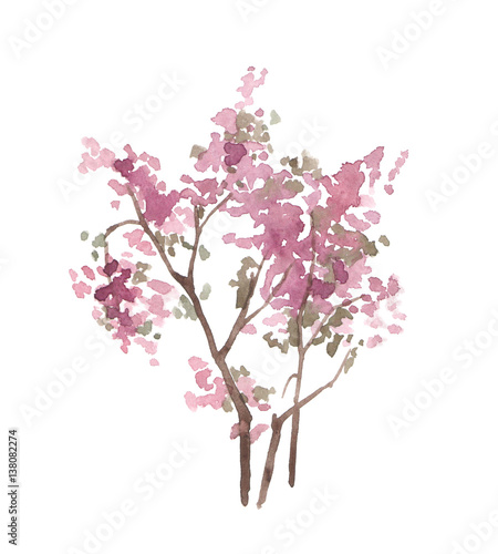 akwarela-rozowy-drzewo-na-bialym-tle-blossom-bush