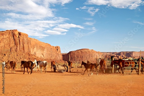 Fototapeta Horse herd in the Monument Valley in the western part of the USA