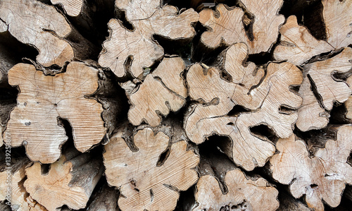  Stack of cut logs fire wood, Venezuela, Latin America