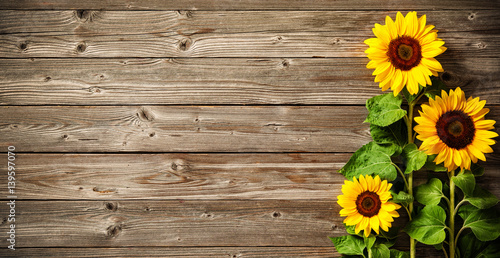 Lacobel sunflowers on wooden board