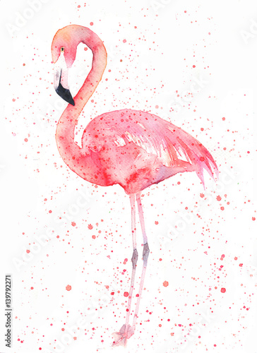 watercolor-flamingo-with-splash-painting-image