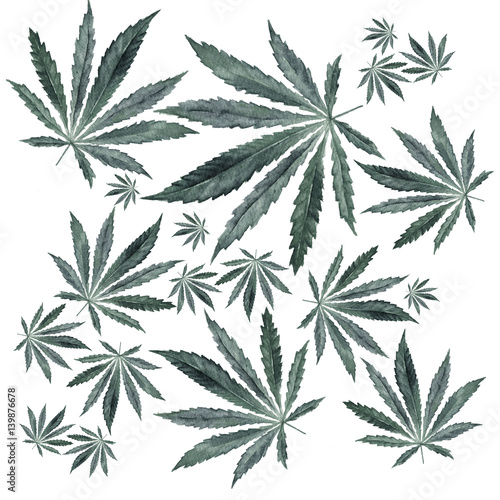 Fototapeta Gray Cannabis leaves on white background