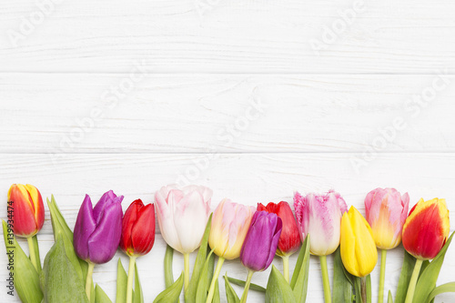 colorful tulips on white wooden background.