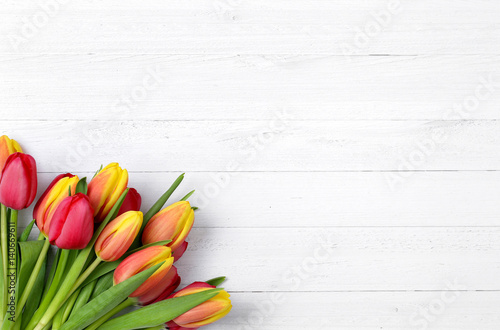 Tulpen auf weißem Holz