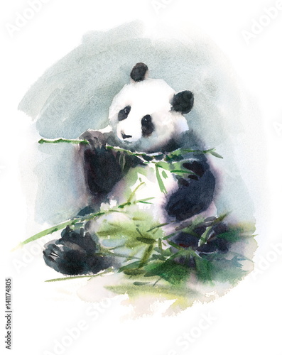 akwarela-panda-jedzenie-ilustracja-zwierzat-bambusa