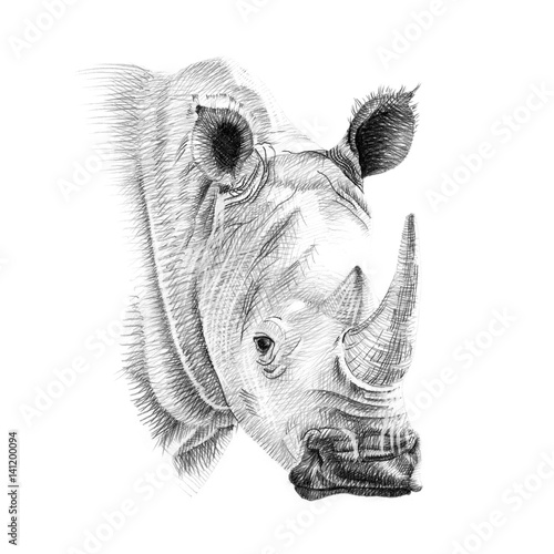 Obraz na płótnie Portrait of rhino drawn by hand in pencil