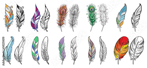 Lacobel Colorful detailed bird feathers, watercolor design set. Hand drawn editable elements, realistic style, vector illustration. Ethnic Colored feathers, seamless background,sketched collection.