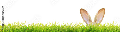 Frohe Ostern!
