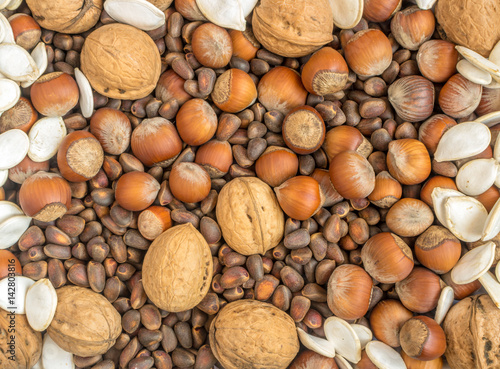 Collection of Walnuts, Hazelnuts, Pine Nuts and Pumpkin seeds