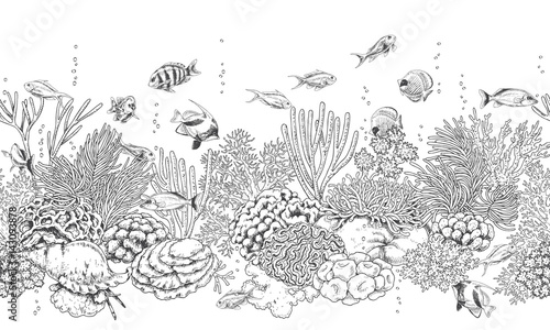 Coral Reef Drawing Realistic ~ Drawing Tutorial Easy