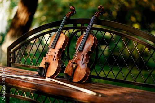 instrumento-musical-de-violin-de-orquesta-violines-en-el-parque-en-el-banco
