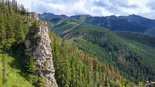 Mountain landscape with a stone cliff and forest. View from Mount Nosal, Tatry, Poland