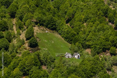 Poster La natura dell'alta Valle Vigezzo, Valle Ossola, Verbania, Piemonte, Italia