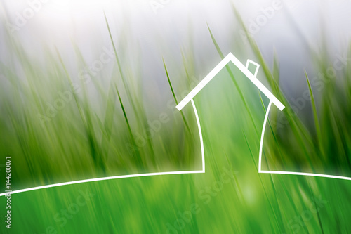 Concept artistic eco healthy living house on blurred meadow background.