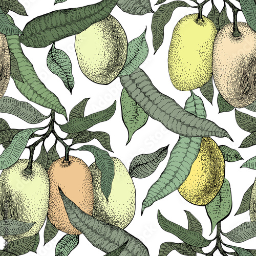 Mango tree vintage seamless pattern. Botanical mango fruit background. Engraved mango. Vector illustration