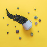 coffee beans and flowers poured from a cup. morning creative concept.