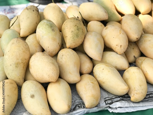 Mango