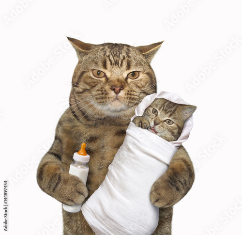The cute cat is holding his baby in the one paw and a bottle of milk in other one. White background.