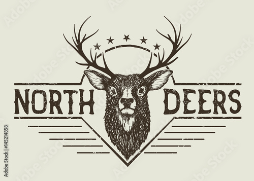 Fototapeta horned north deer