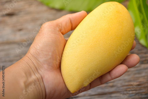 Delicious ripe mango with green leaf in hand  on wooden background.