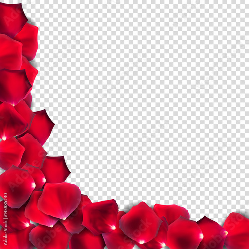Abstract Natural Rose Petals on Transparent Background Realistic