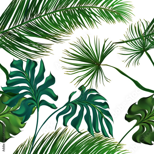 zestaw-tropikalny-lisci-palmowych-rysowane-wektor-zbiory-pojedynczo-na-tle-elementy-dekoracyjne-wzor-botaniczny-modny-design-bezszwowy-wzor
