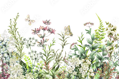 bezszwowa-krawedz-granica-z-ziolami-i-dzikich-kwiatow-lisci-ilustracja-botaniczna-kolorowa-ilustracja-na-bialym-tle-wiosna-sklad-z-motylem