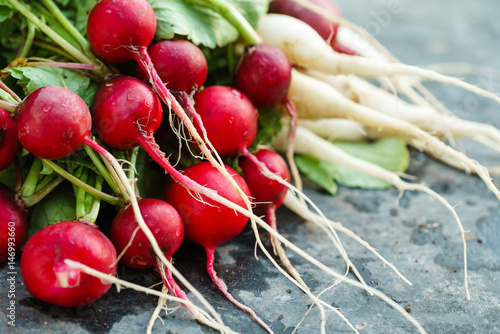 fresh radish