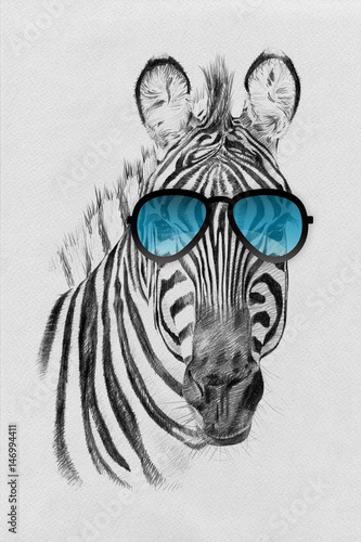 portret-zebra-rysujaca-reka-w-olowku-w-okularach-przeciwslonecznych