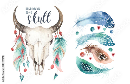 Lacobel Watercolor bohemian cow skull and feather. Western mammals. Boho hipster deer boho decoration print antlers. flowers, feathers.