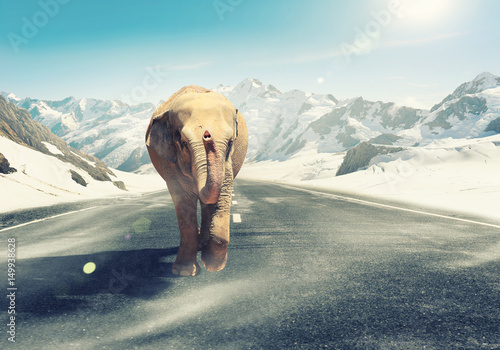 Poster Massive elephant as symbol for transportation concept